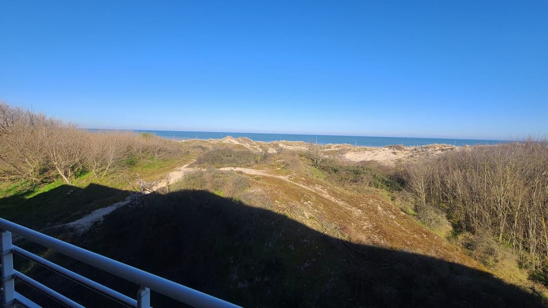 Appartement : Beau type 3 face mer, bordure de dunes, Malo Terminus